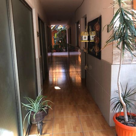 Casa Alejandra Antofagasta Exterior foto